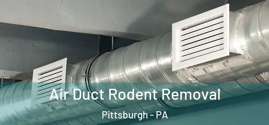  Air Duct Rodent Removal Pittsburgh - PA