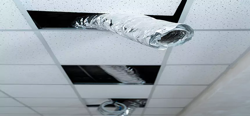 Our Air Duct Pet Hair Removal Services in Pittsburgh, PA