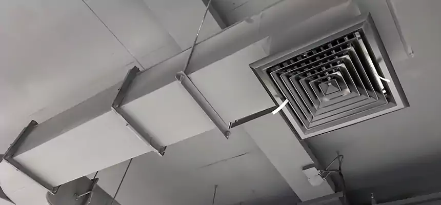 Restorative Allergy Relief Vent Cleaning – Coil, Blower & Housing Detail in Pittsburgh