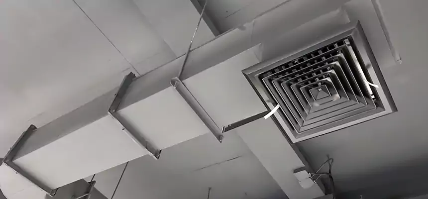 Our Pest Removal From Ducts Services in Pittsburgh, PA