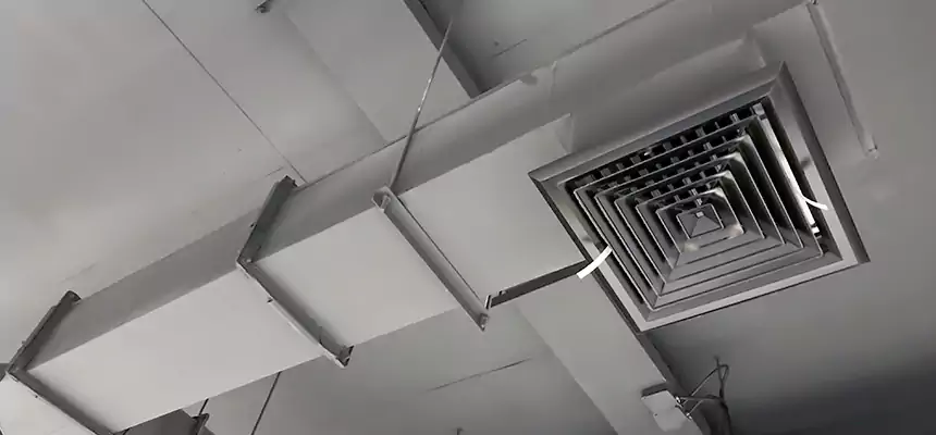 Our Rodent Droppings In Vents Services in Pittsburgh, PA