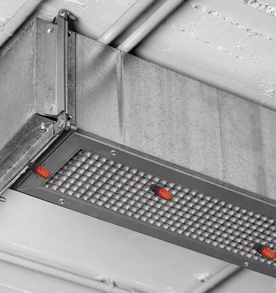 Affordable Insect Removal from Air Ducts in Pittsburgh, PA
