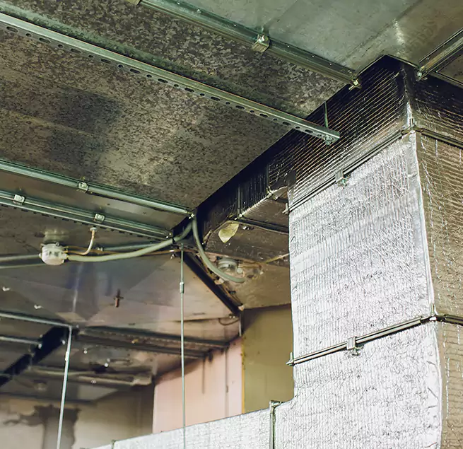 Why Homeowners & Businesses Trust Us in Pittsburgh, PA?